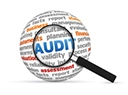 Lead Auditor Security Management System